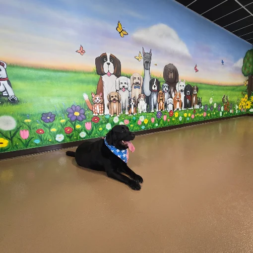 Mural of a row of smiling dogs in a flower meadow, with a black lab lying in front